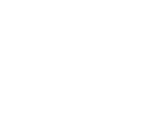 PROJECT DESIGN